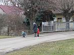 Třibřichy